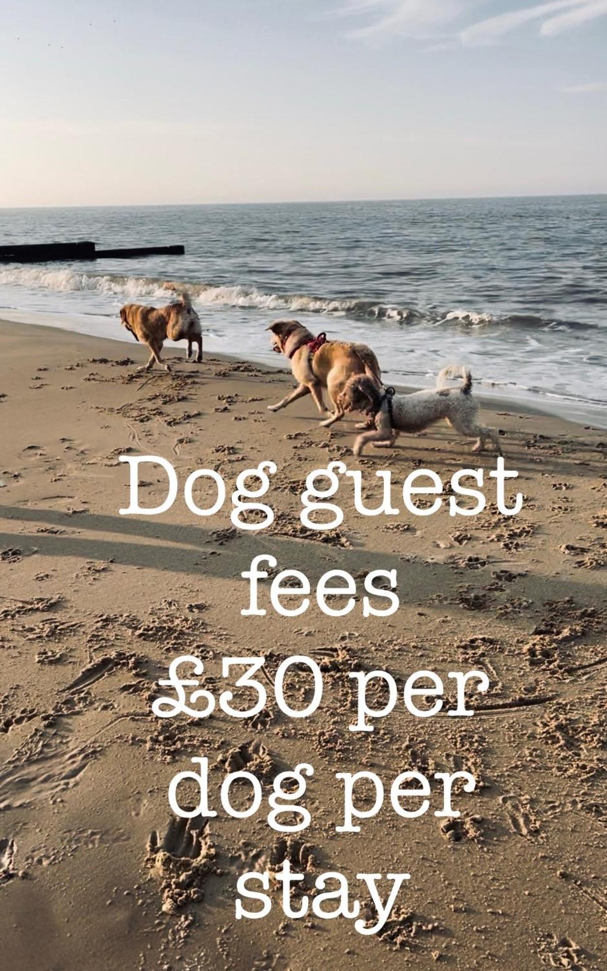 Dog Friendly Cottage 2 Mins To Beach With Hot Tub And Zappi Ev Lessingham Exterior foto